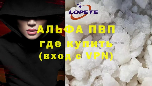 молекула духа Саяногорск