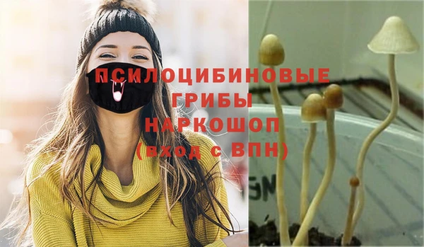молекула духа Саяногорск