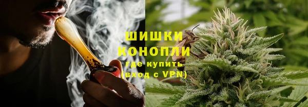 ГАЛЛЮЦИНОГЕННЫЕ ГРИБЫ Алзамай