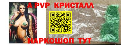 a pvp Кингисепп