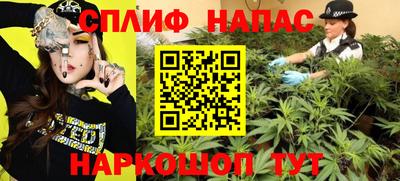 a pvp Кингисепп