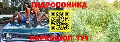 прущая мука Кимры
