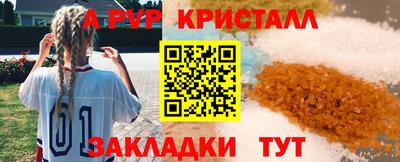 a pvp Кингисепп