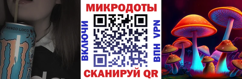 где найти   Качканар  Галлюциногенные грибы GOLDEN TEACHER 